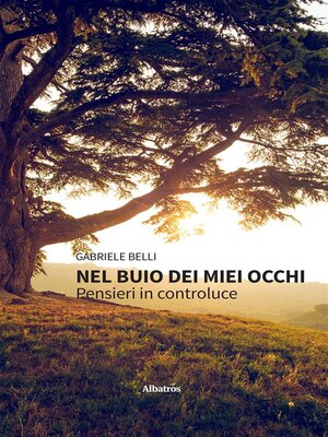 cover image of Nel buio dei miei occhi